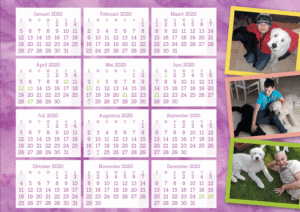 Kalender roze